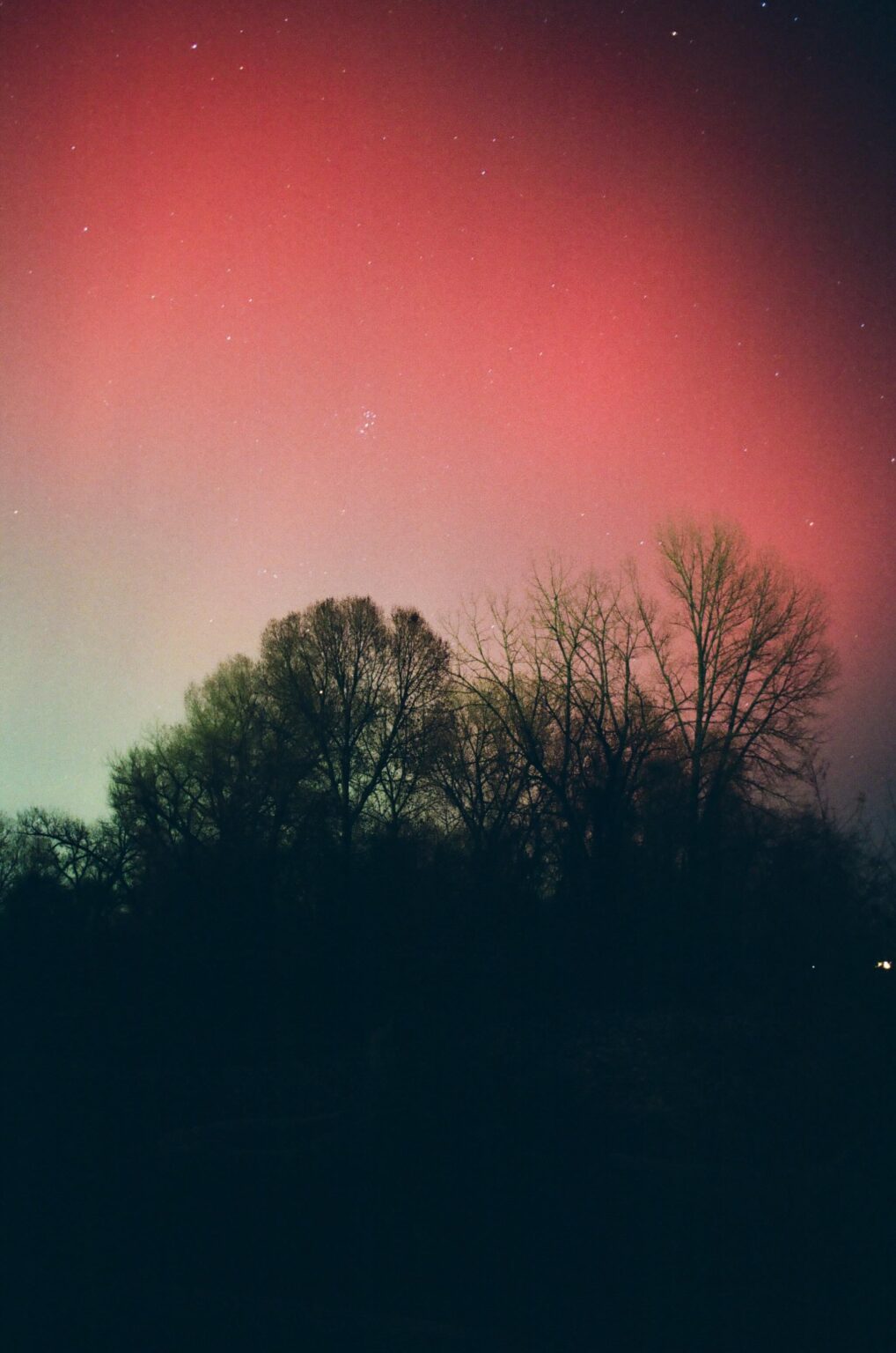 The Pleiades in the Aurora on Film