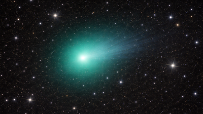 Comet 41P’s rotation slowed dramatically before it likely reversed, astronomers observe