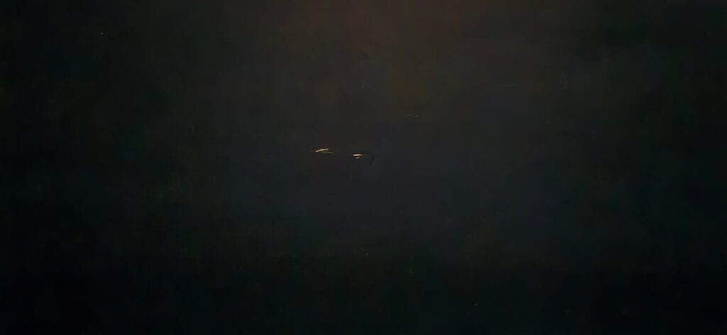 Fascinating lights on cruise, birds?