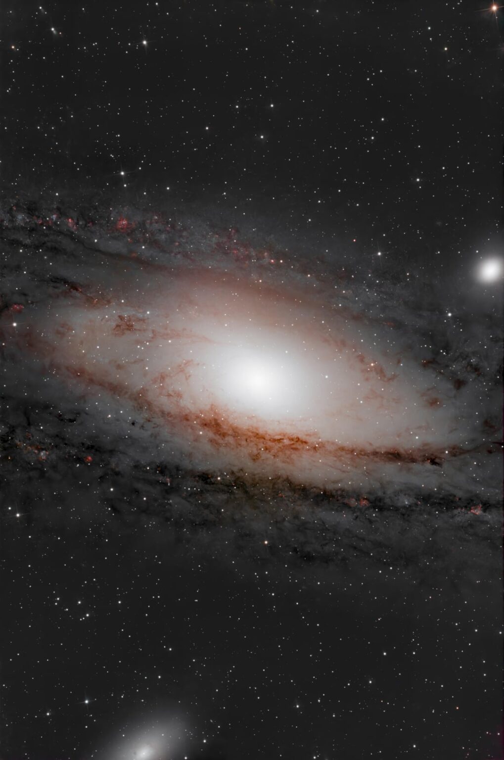 The Andromeda Galaxy - M31