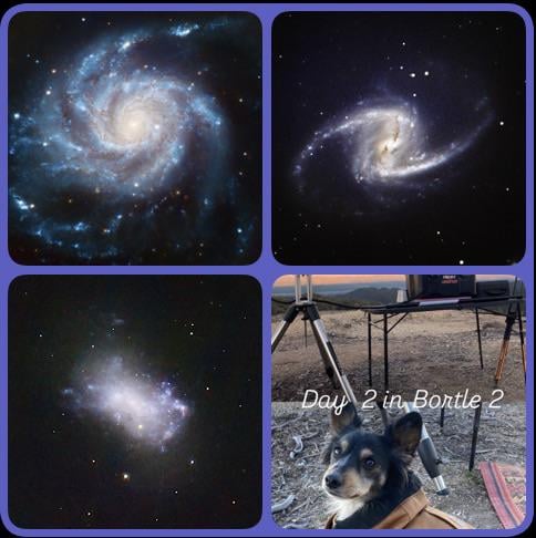 M101, NGC 1365, NGC 4449 & my dog