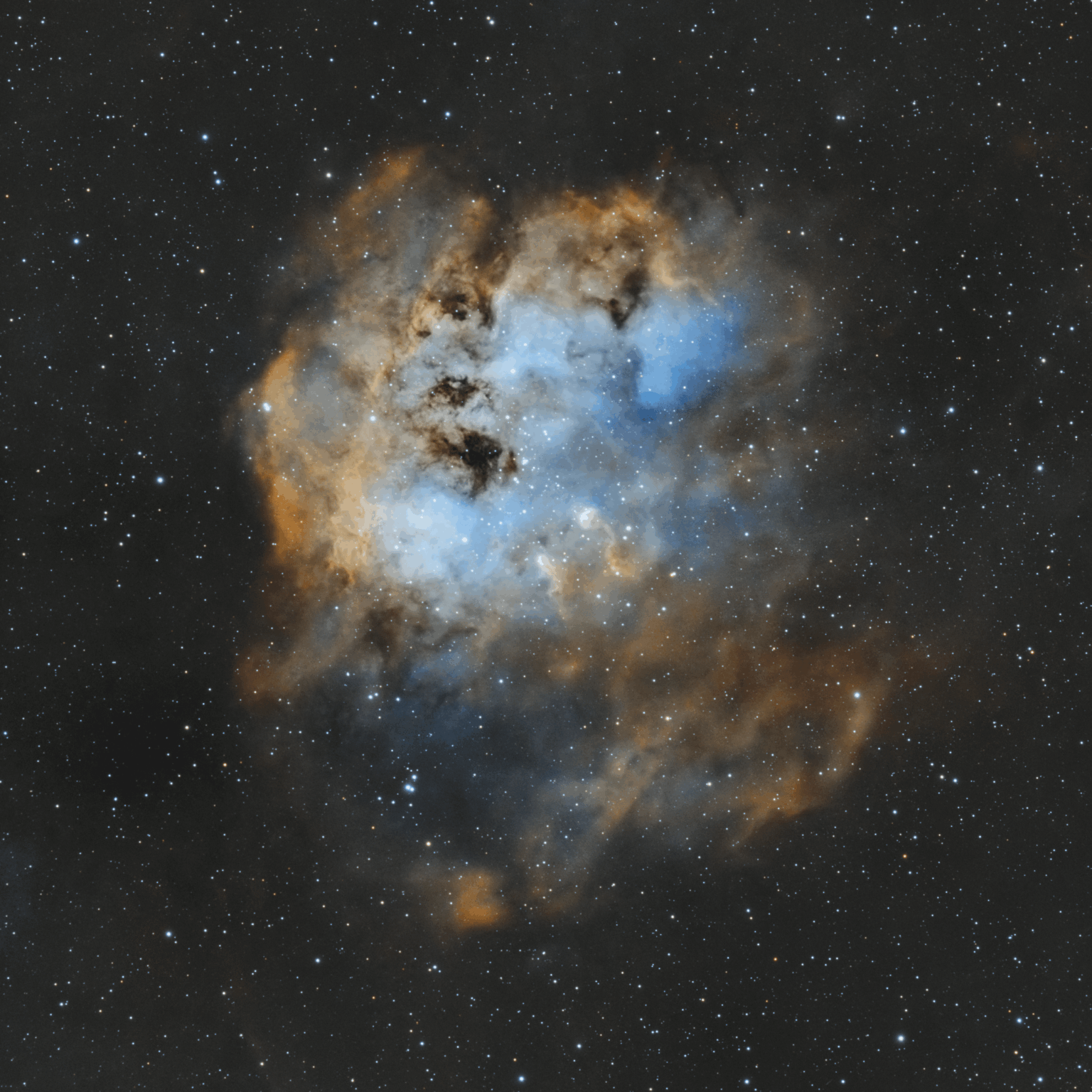 The Tadpoles (IC410)