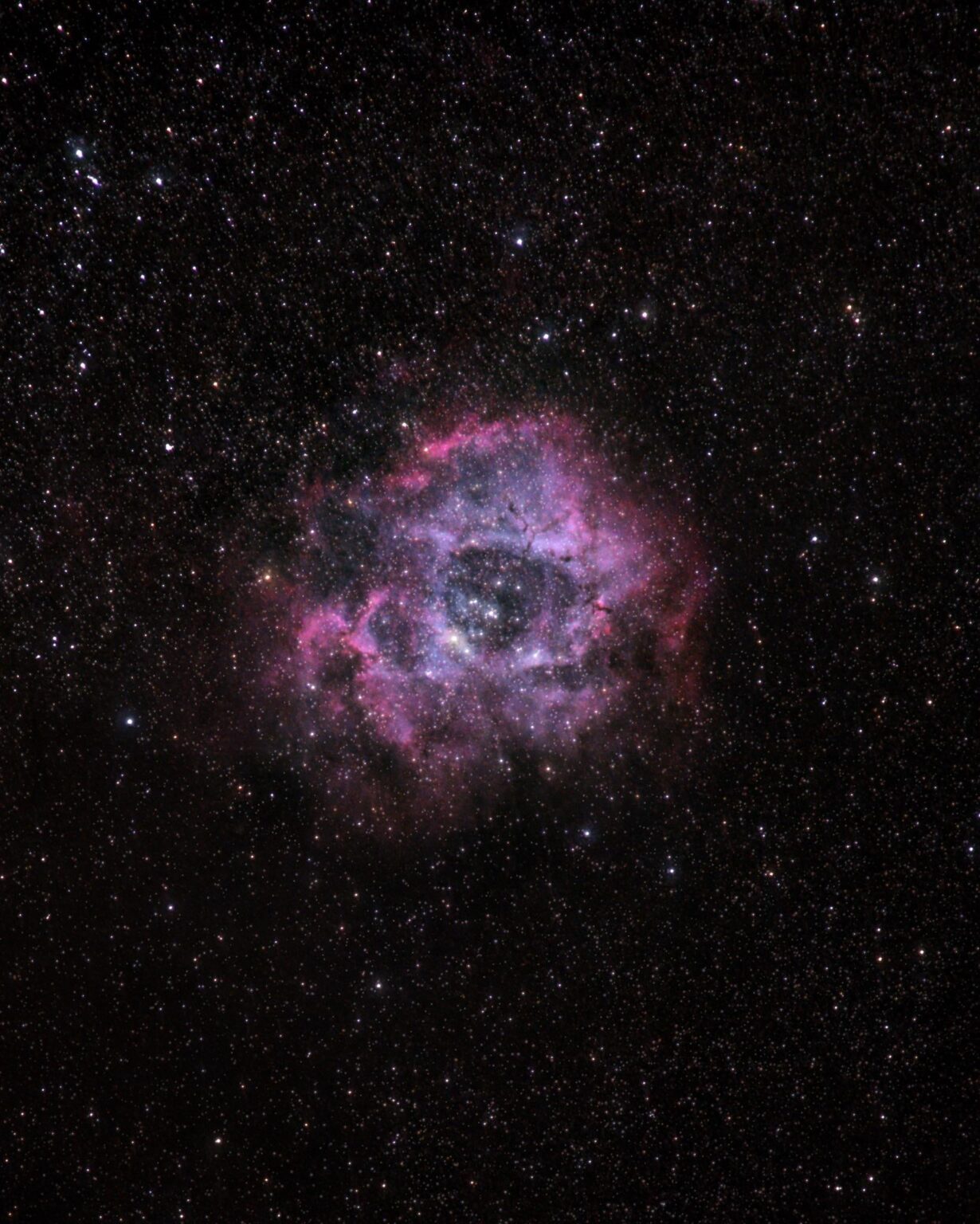 Rosette Nebula (NGC 2237) Rosette Nebula (NGC 2237)