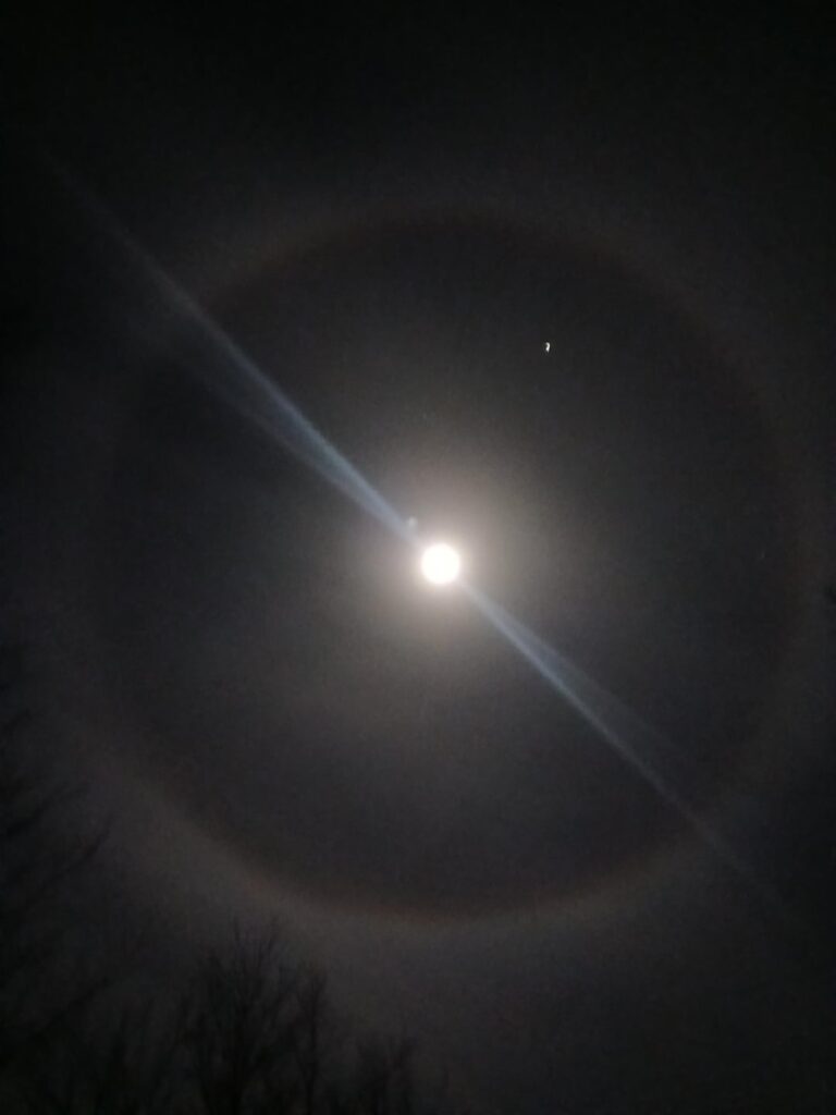 Saw this beautiful sight