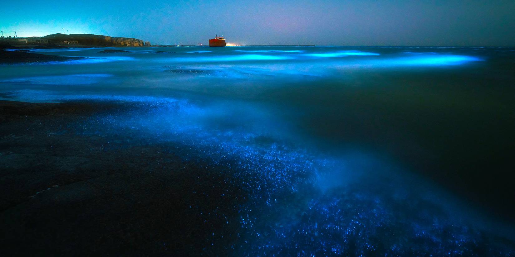 Nighttime image of a beach with a red boat on the horizon and bioluminescent algae in the water
