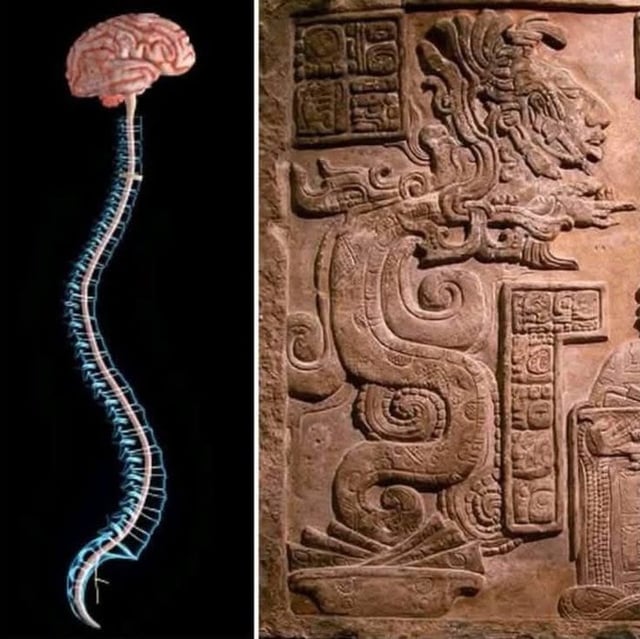 Significance of the Plumed Serpent & human consciousness isnt understood: Why it was demonized