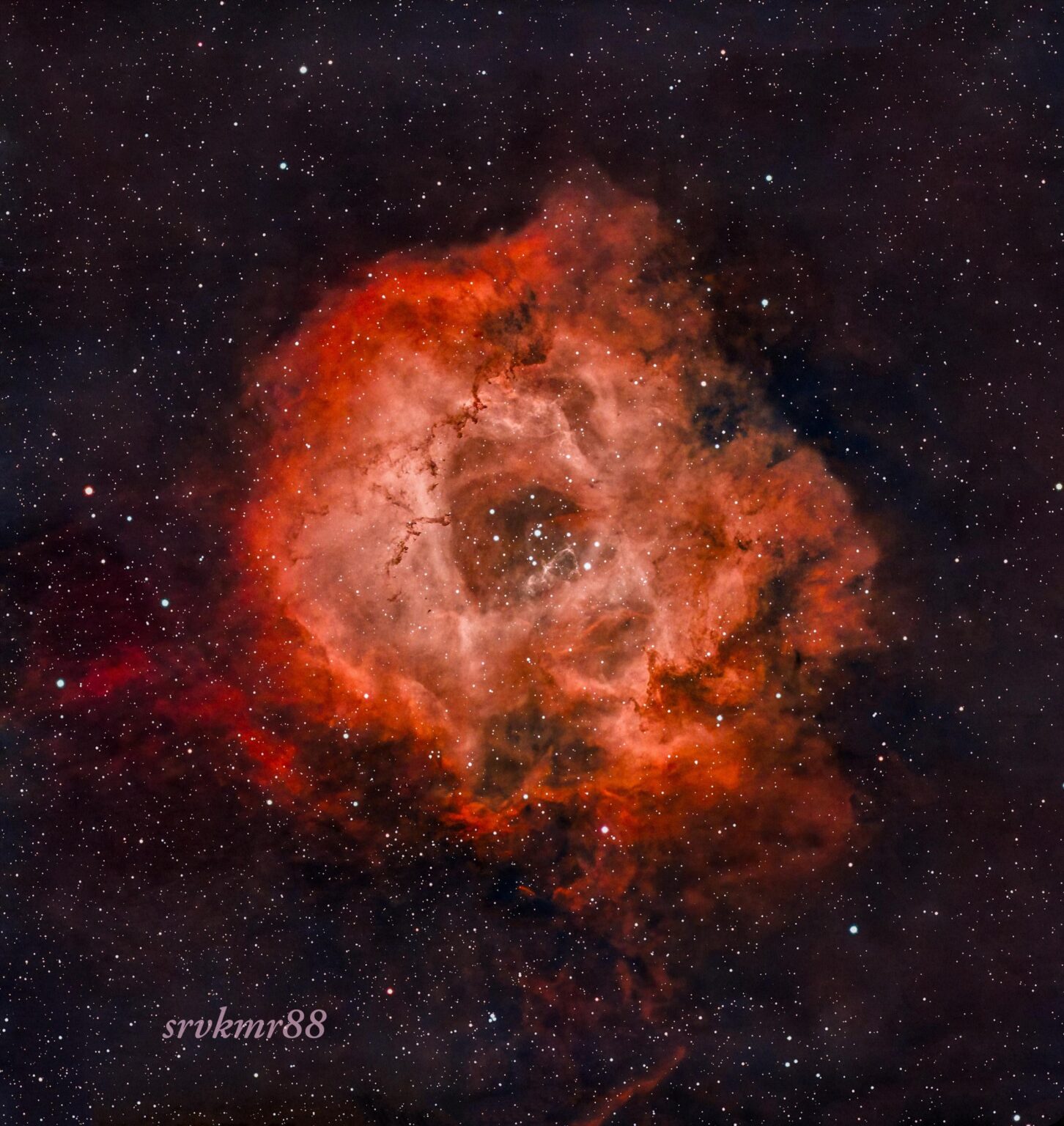 The rosette nebula