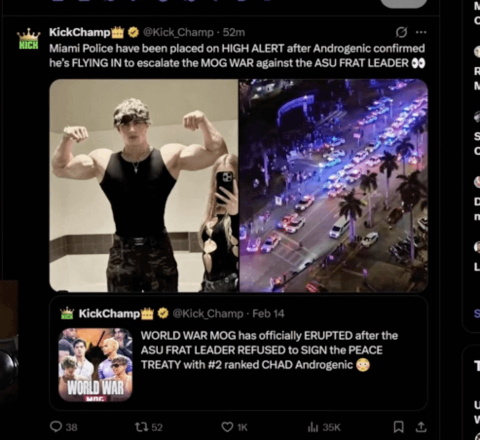 I am so confused. what do you guys think this is ?