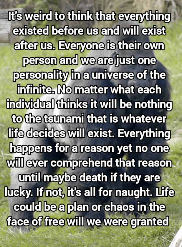 Life is in the eye of the beholder