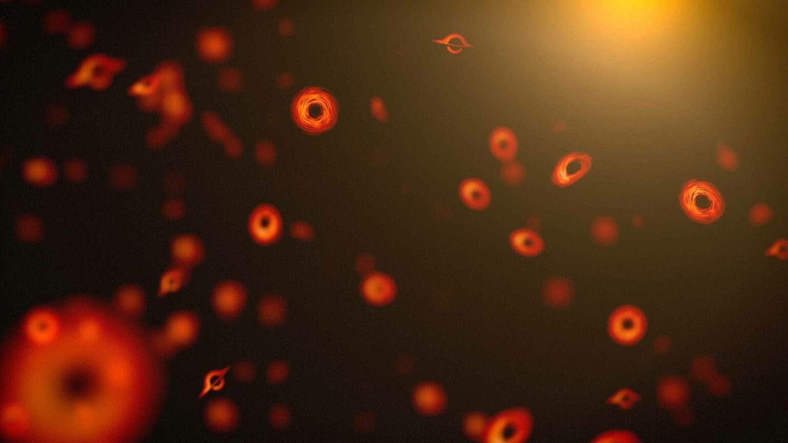 primodial black holes