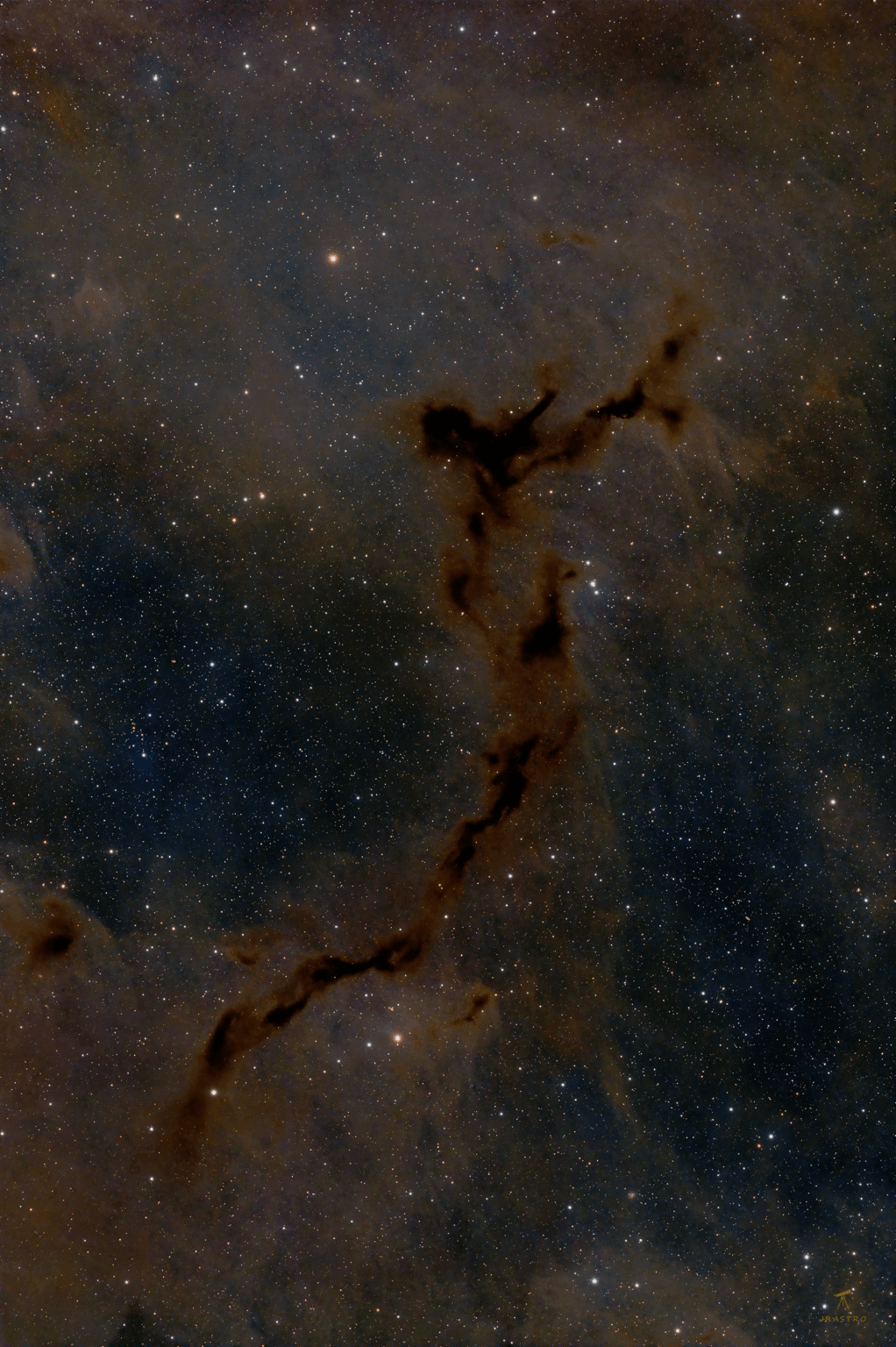 Barnard 150 - The Seahorse Nebula