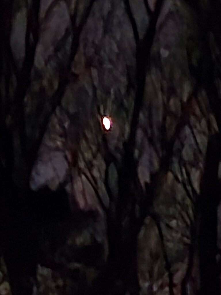 40 yards away lucky shot . 40 yards away lucky shot .