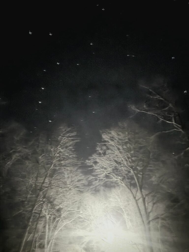 What constellation is this ?