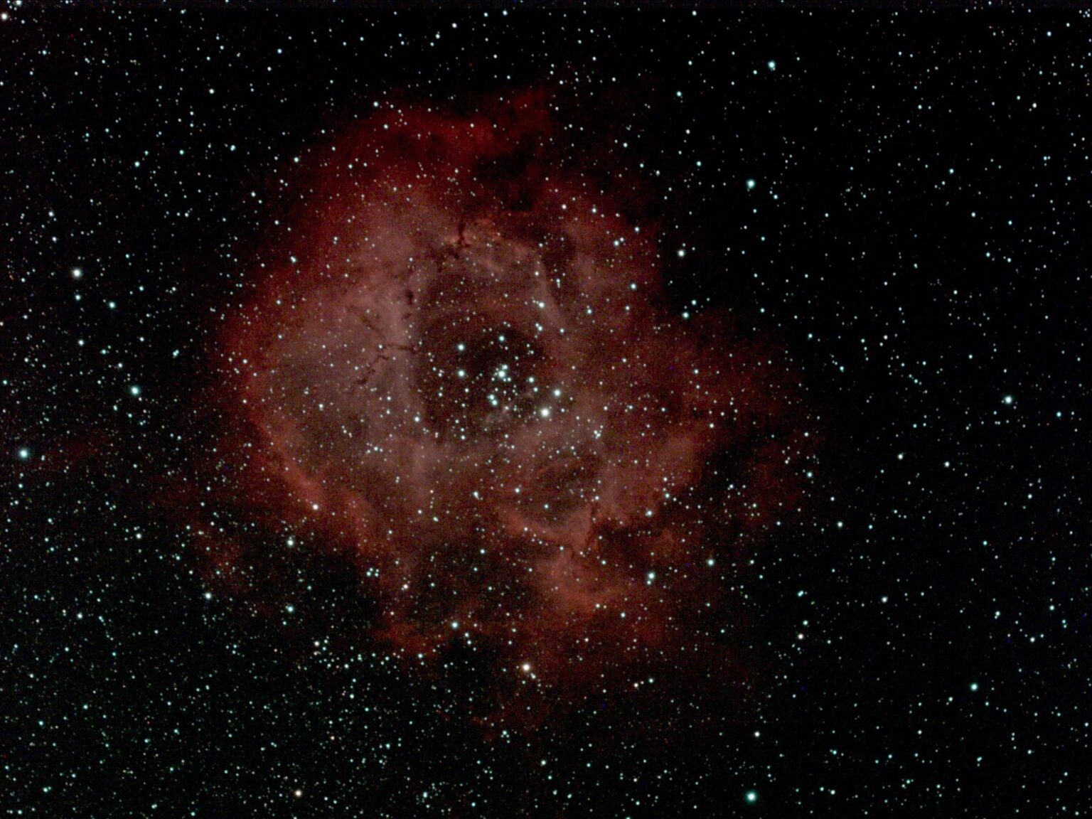 Rosette nebula