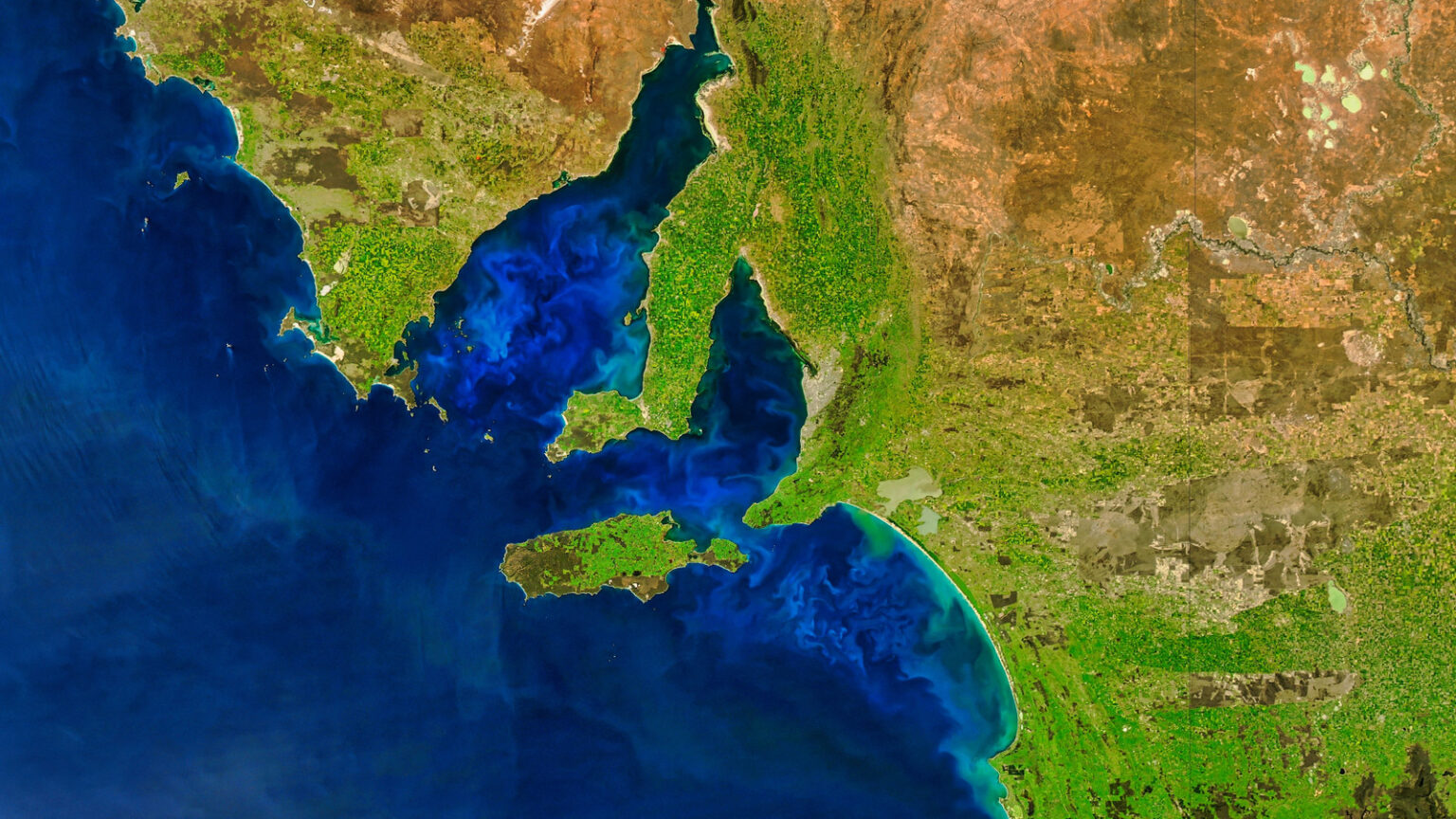 NASA Just Detected A Giant Glowing Ocean Creature On Satellite Images NASA Just Detected A Giant Glowing Ocean Creature On Satellite Images