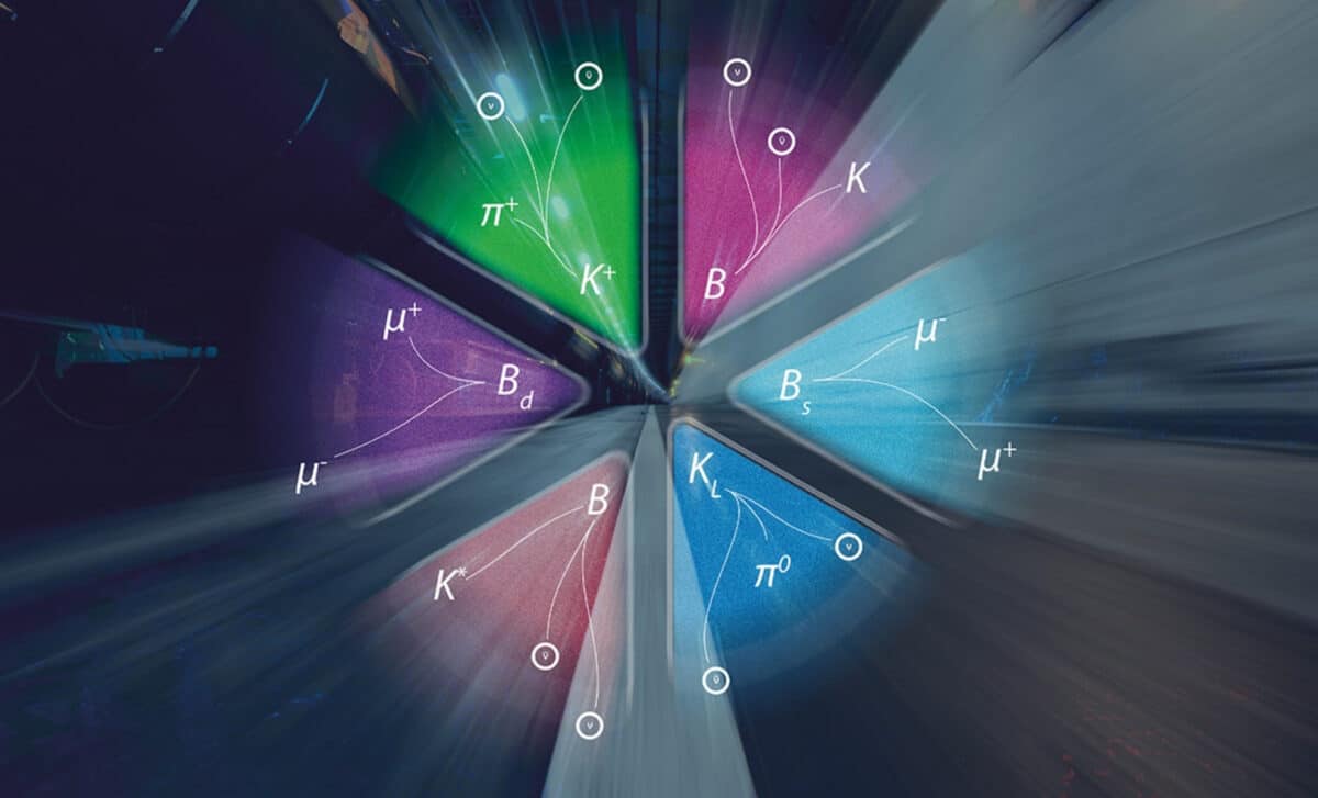 Six Ultra Rare Decays Stand Out For Their Potential To Reveal Ne Physics This Decade