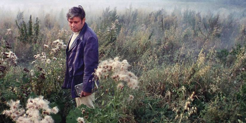 Donatas Banionis as Kelvin standing in a field of plants in Solaris (1972).