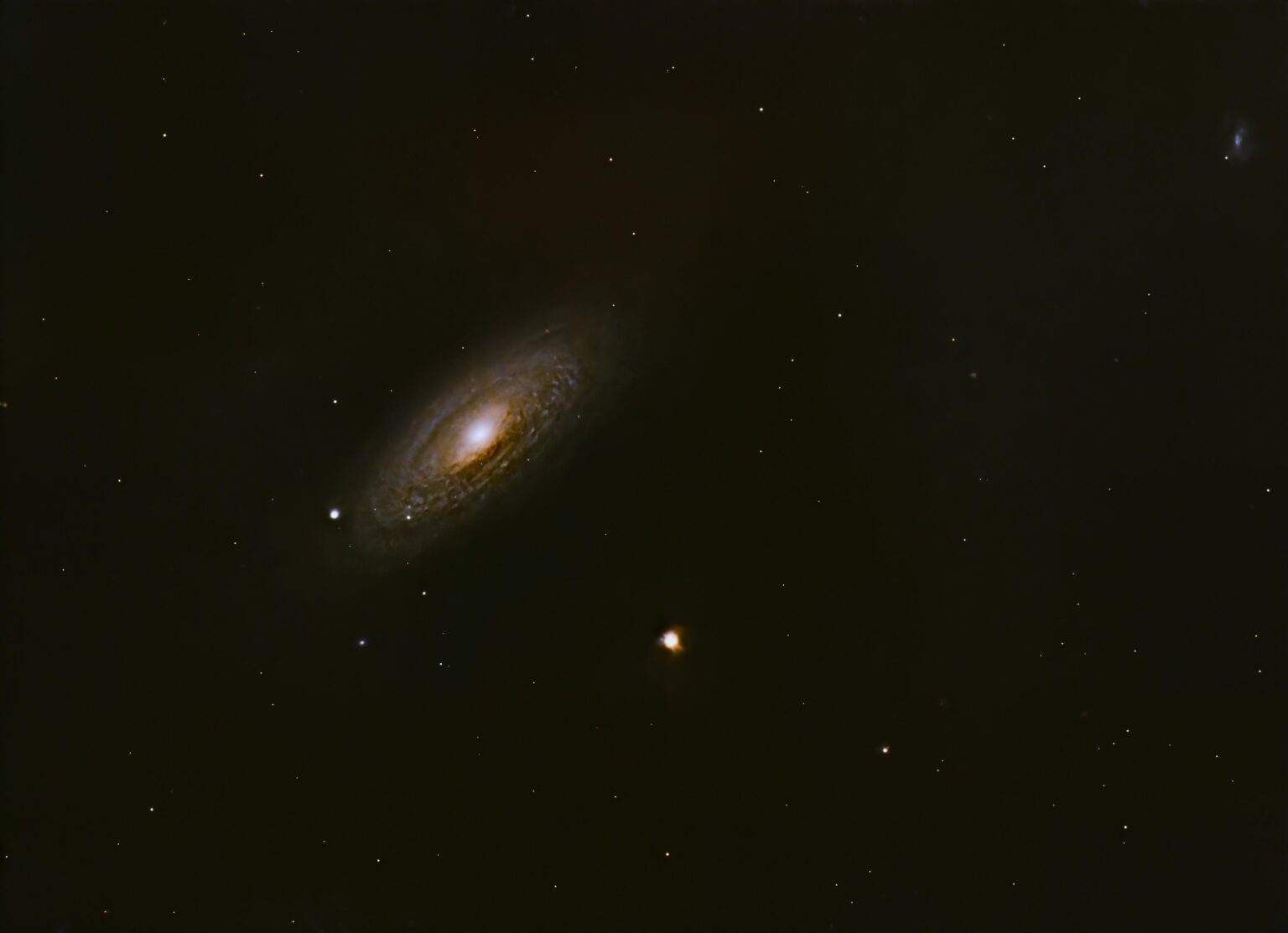 Tiger's Eye Galaxy - NGC 2841