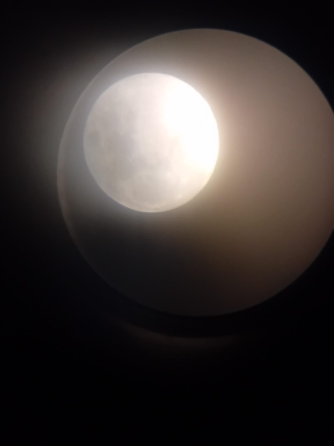 Waxing gibbous moon (almost full)