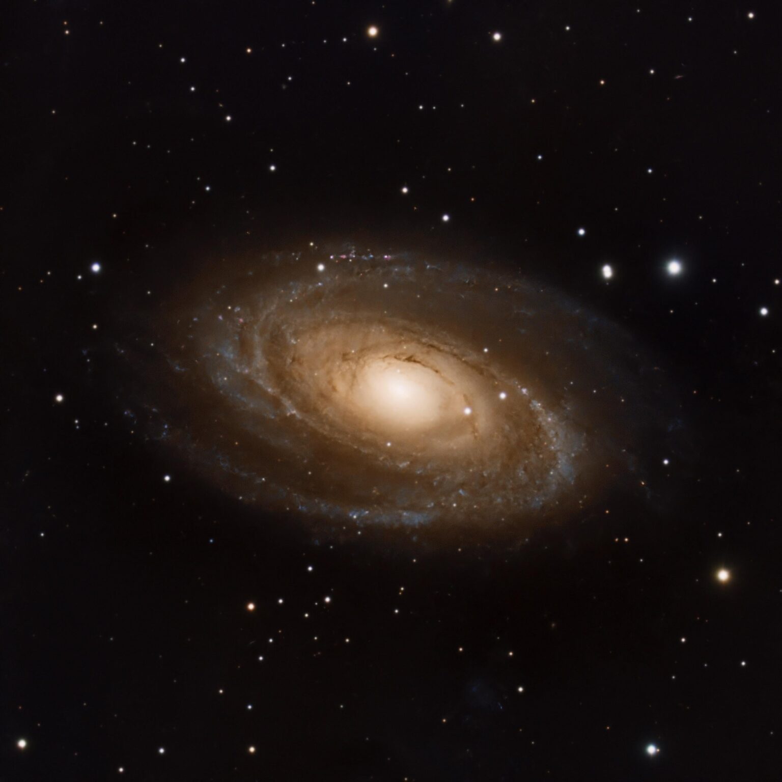 M81 Bode’s Nebula