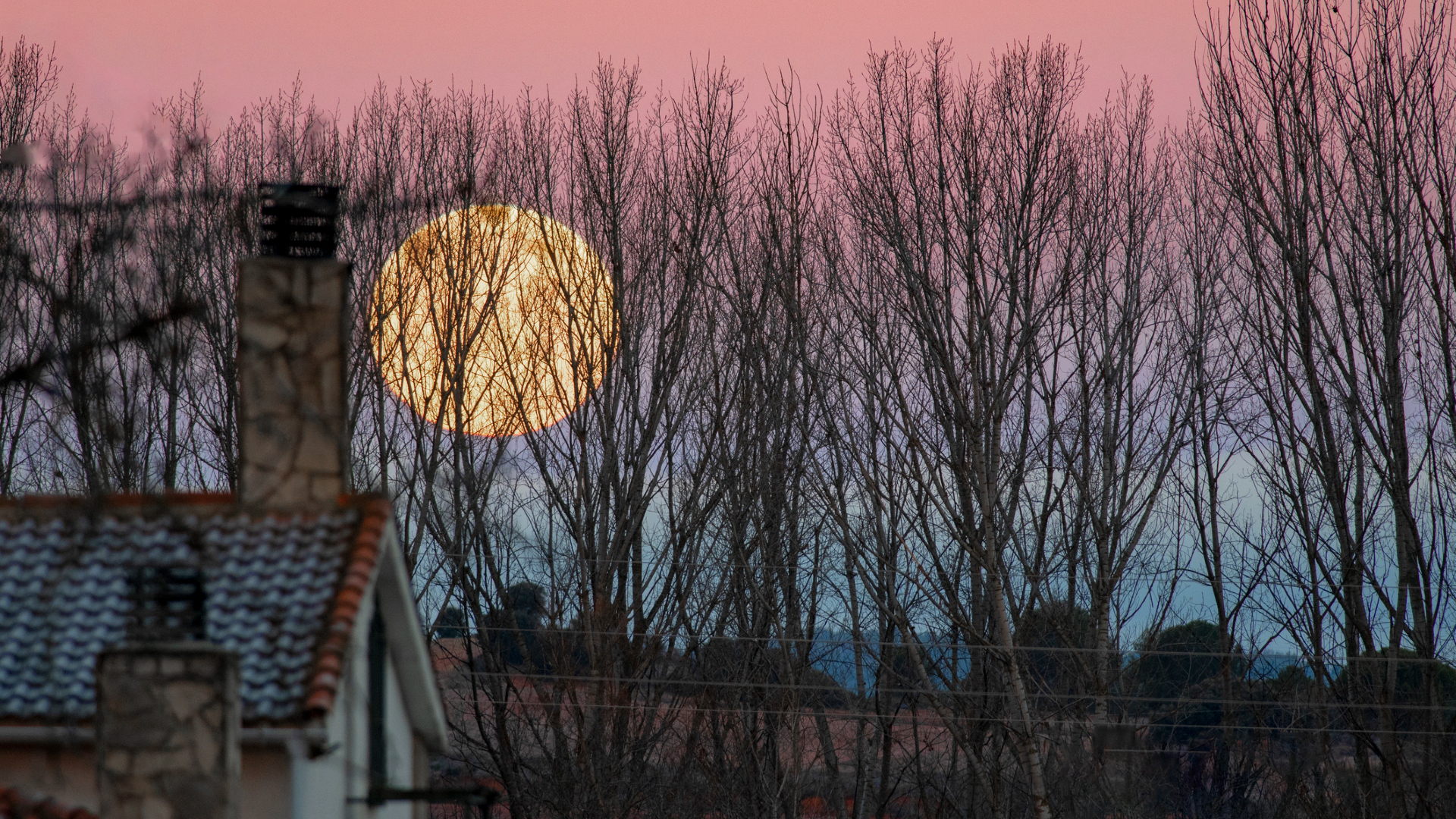 A large yellow moon glows in a pink night sky behind a series of bare trees with a dark house in the bottom left of the image