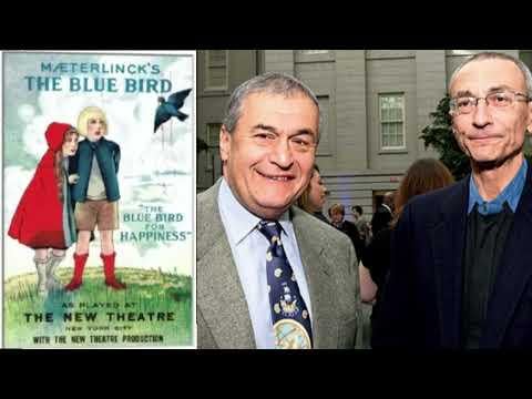 MKULTRA: Manufacturing Killers Utilizing Lethal Tradecraft Requiring Assassinations