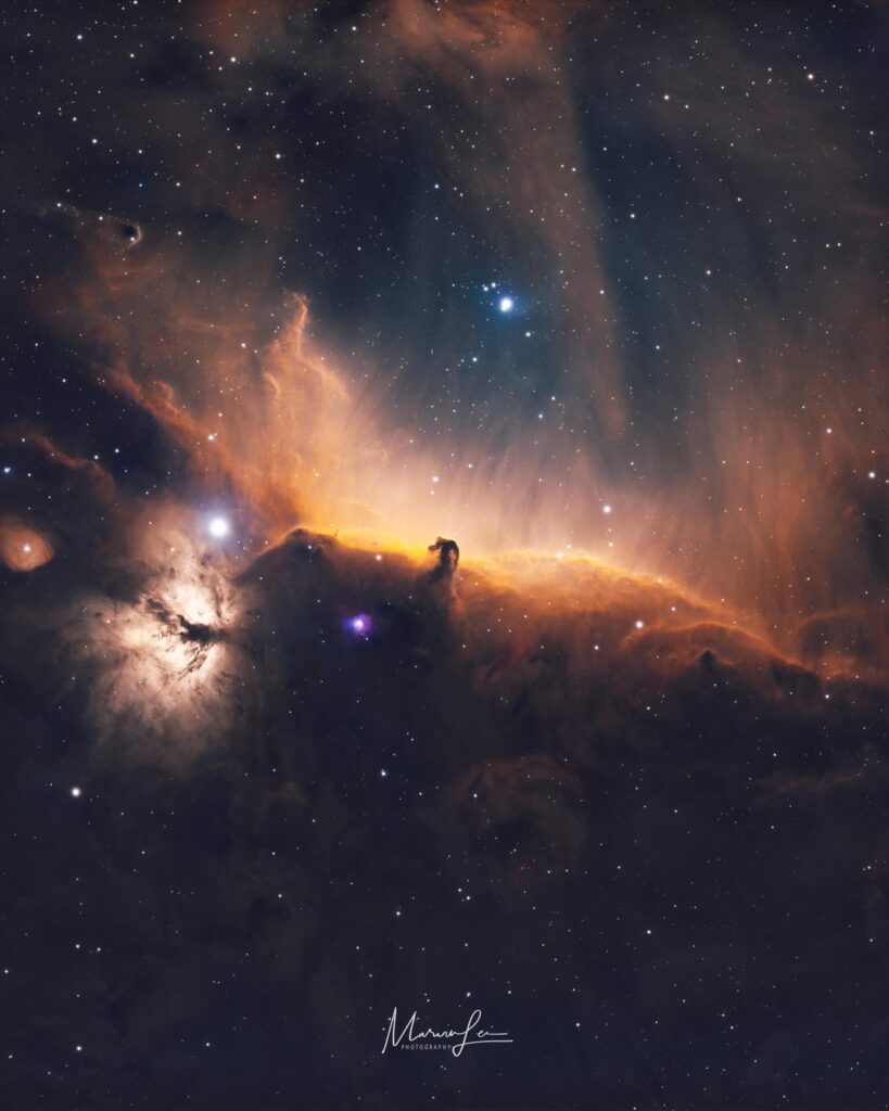 Happy Lunar New Year of the Horse!