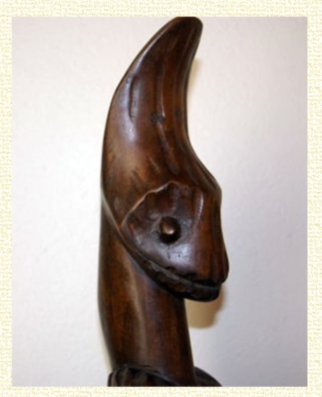 Lizard: the true face