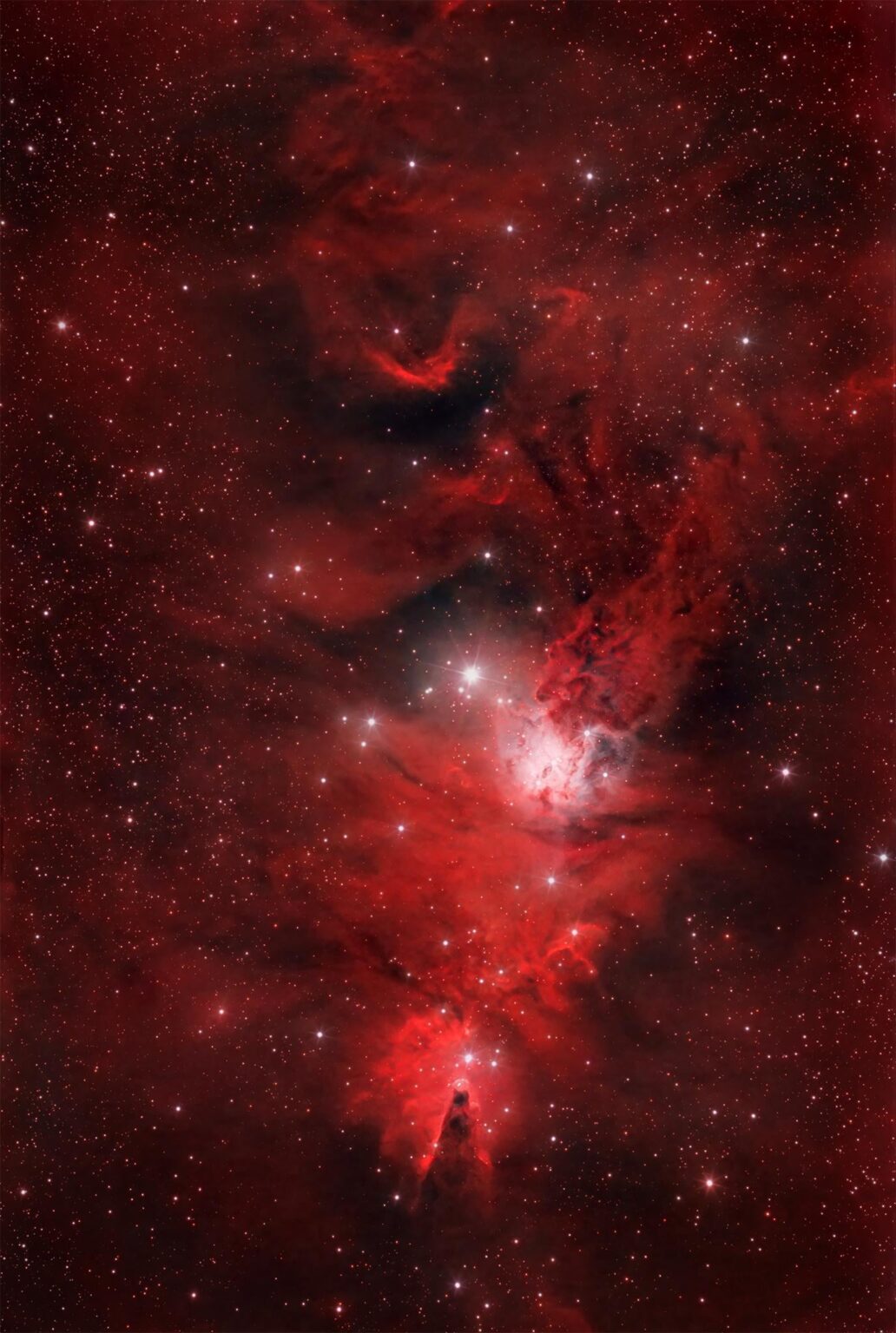 Cone Nebula