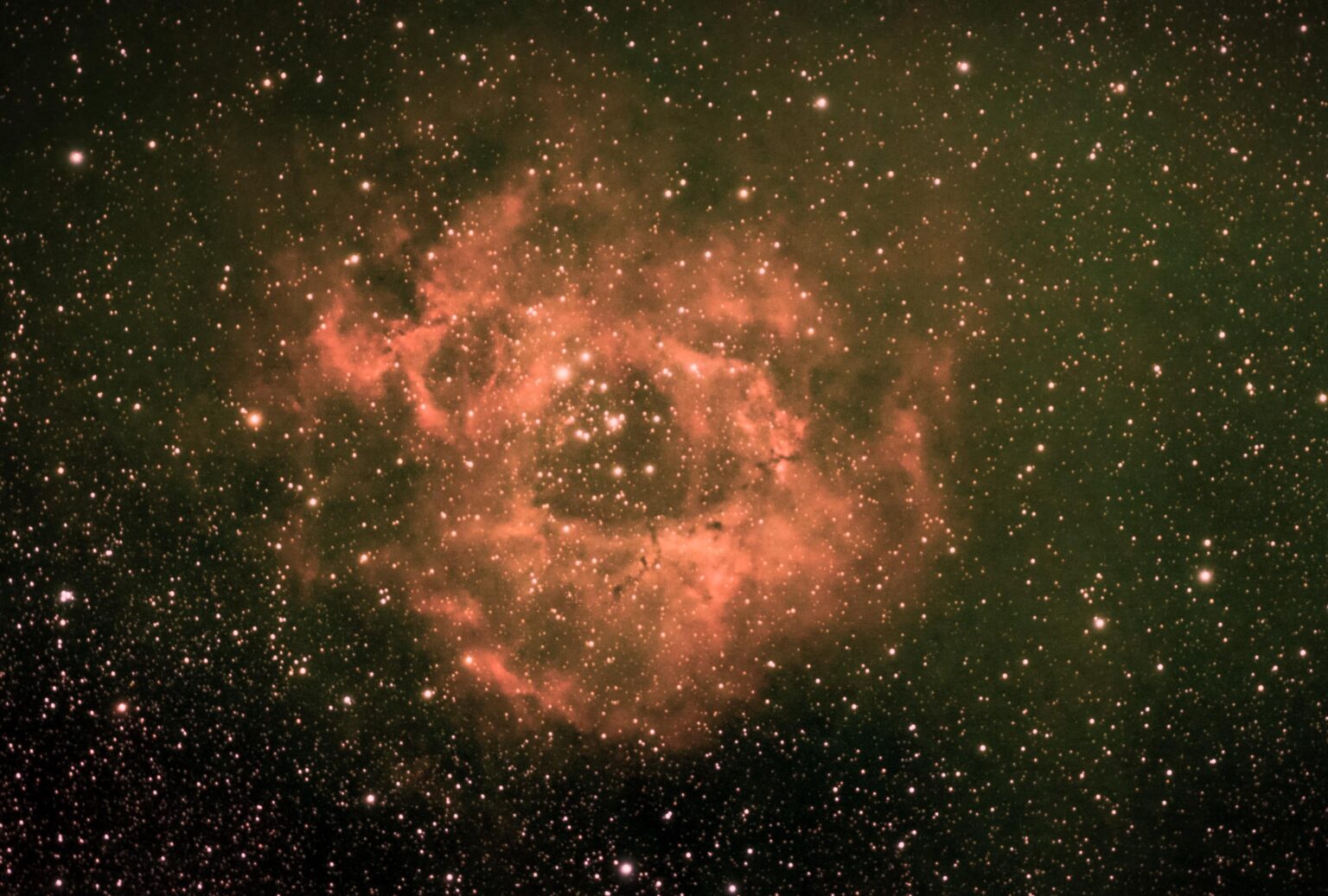 Rosette Nebula last night