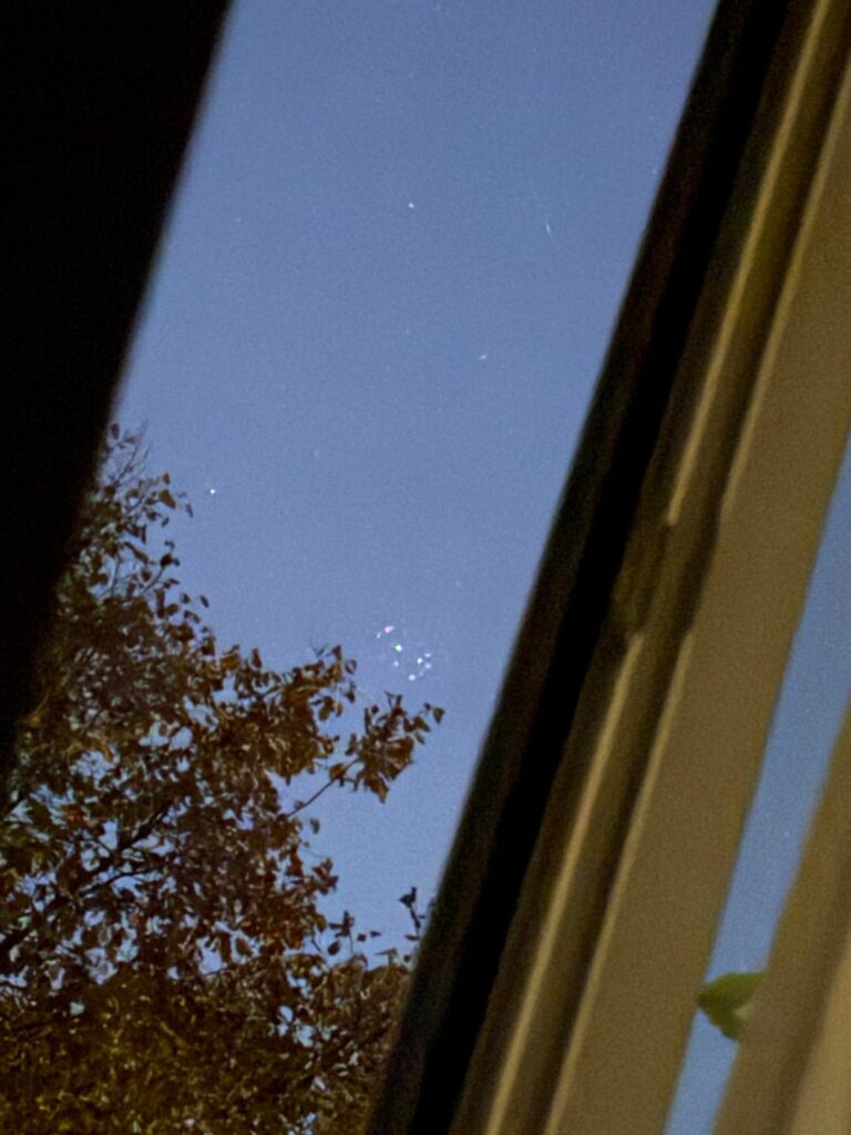 Any idea what this is? Any idea what this is?