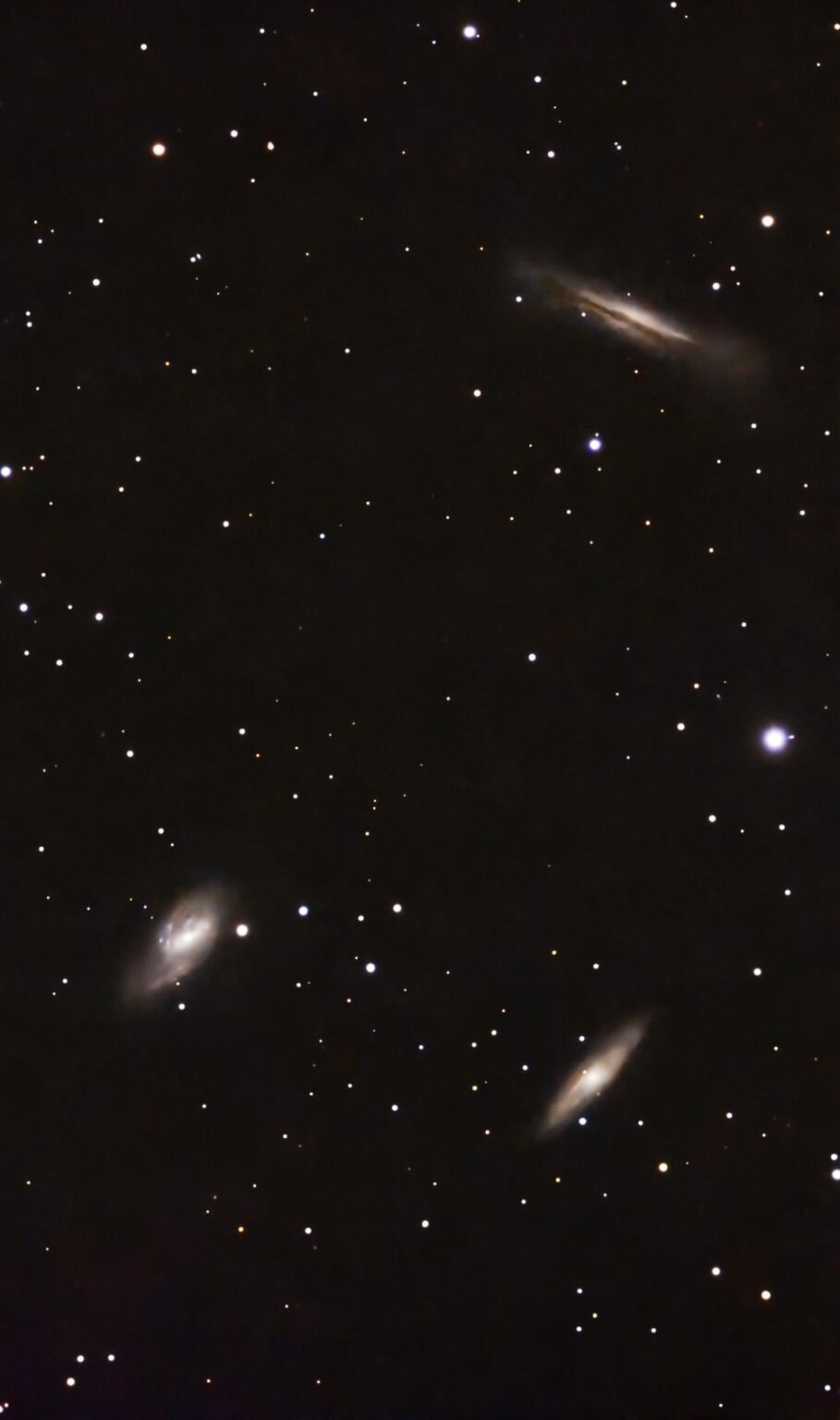 Leo triplets - M65, M66 & 🍔 galaxies