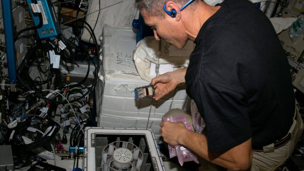 Astronauts Use Bacteria and Fungi to Harvest Metals in Space Michael Scott Hopkins performs a microgravity experiment on the International Space Station. Credit: NASA/ESA