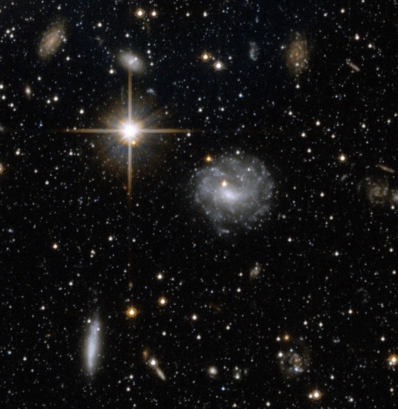 hubble stars andromeda halo