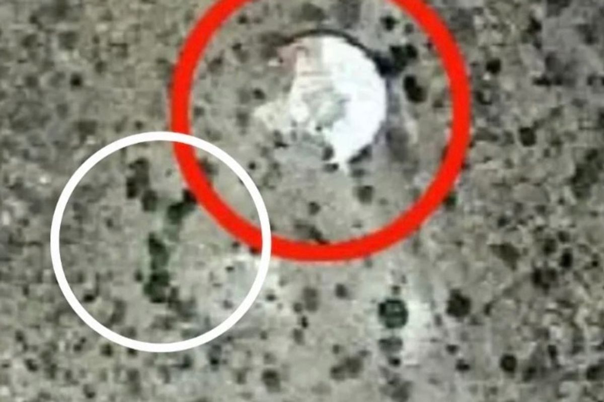 Images originating in the state's high desert appeared to show a luminous white or silver object