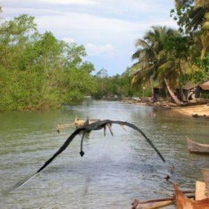 The Ropen of Papua New Guinea: A Living Pterosaur or Something Far More "Luminous"?