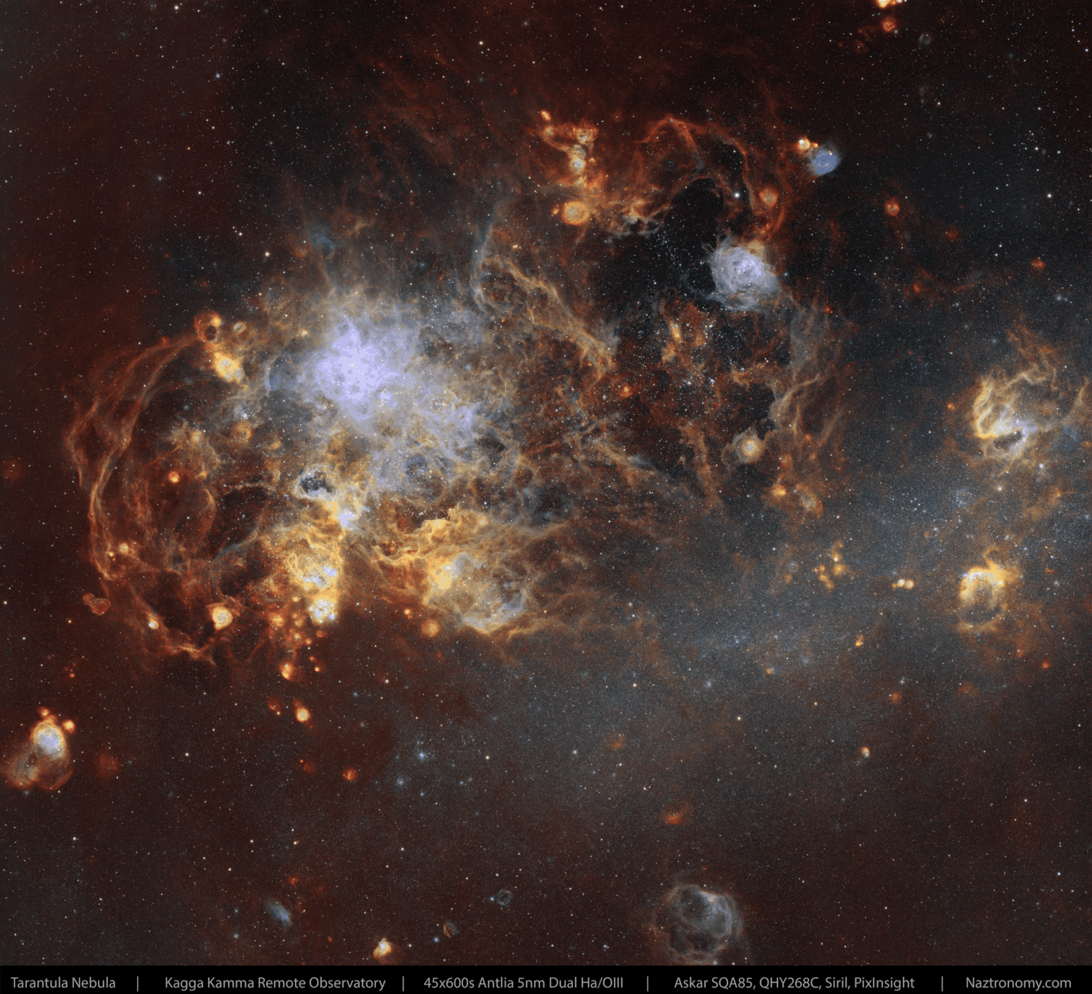 Golden Tarantula on the LMC Golden Tarantula on the LMC