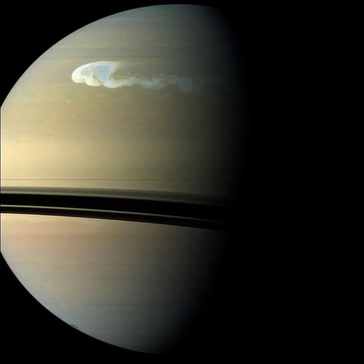 A massive storm – a great white spot – churns across Saturn’s northern hemisphere, captured by NASA’s Cassini spacecraft. Credit: NASA/JPL-Caltech/Space Science Institute