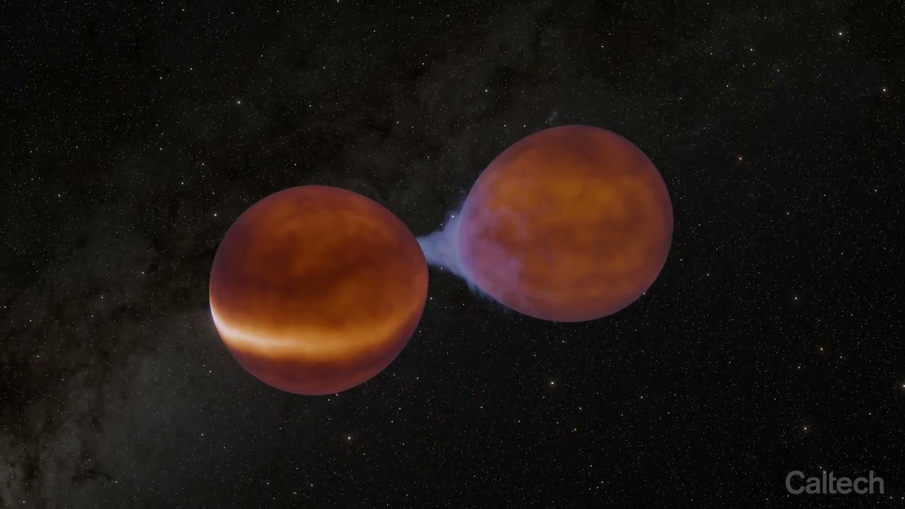 Two Dim Stars Team Up to Shine Brightly - YouTube