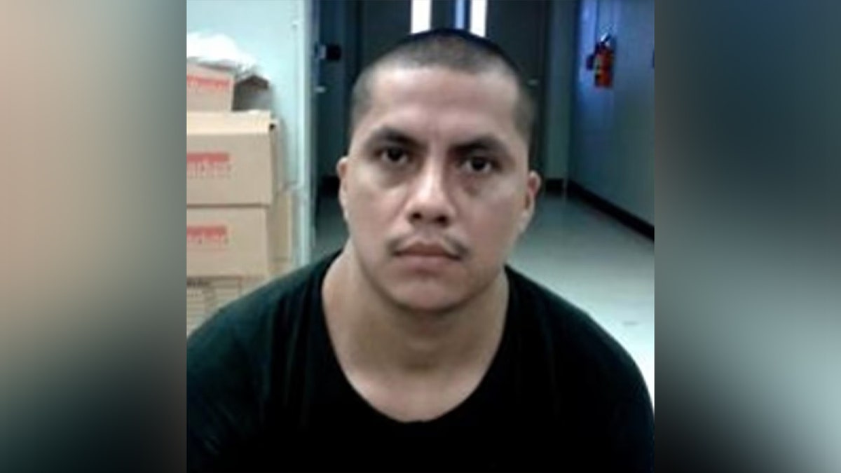 Headshot of Illegal immigrant Wilson 