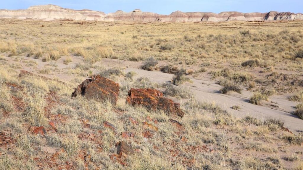 10 U.S. Places with Alien Landscapes Guessing Headlights