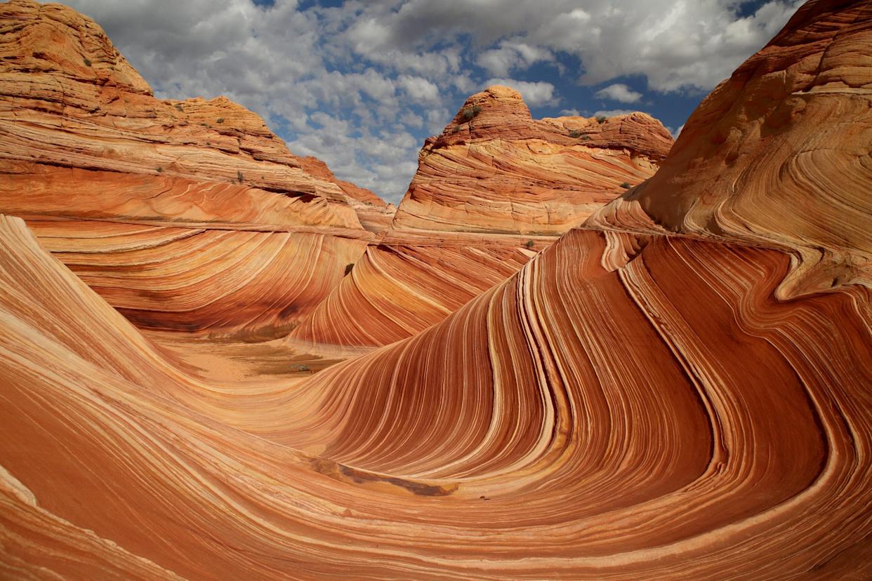 Rock formations in the North Coyote Buttes, part of the Vermilion Cliffs National Monument. This area is also known as The Wave