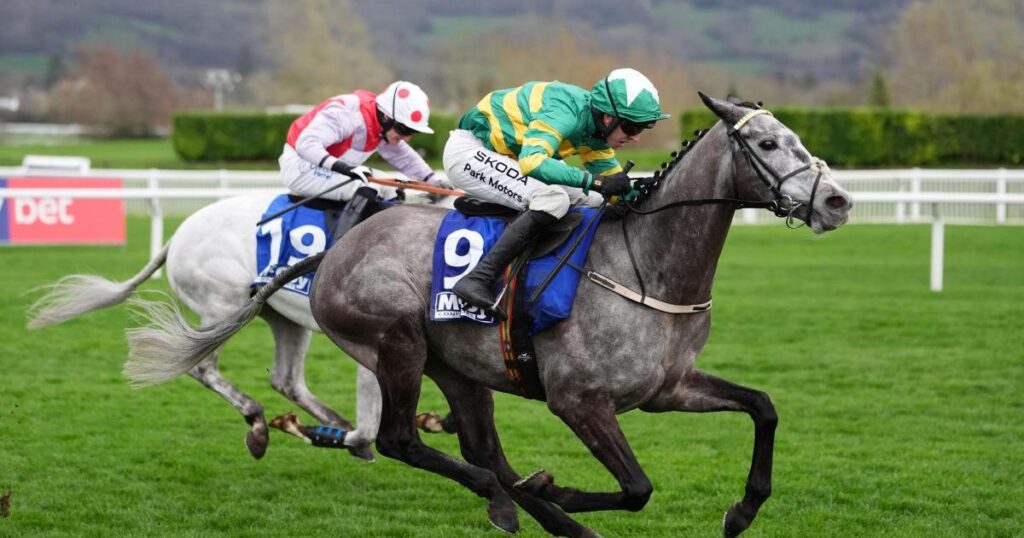 Saratoga supplies birthday winner for JP McManus