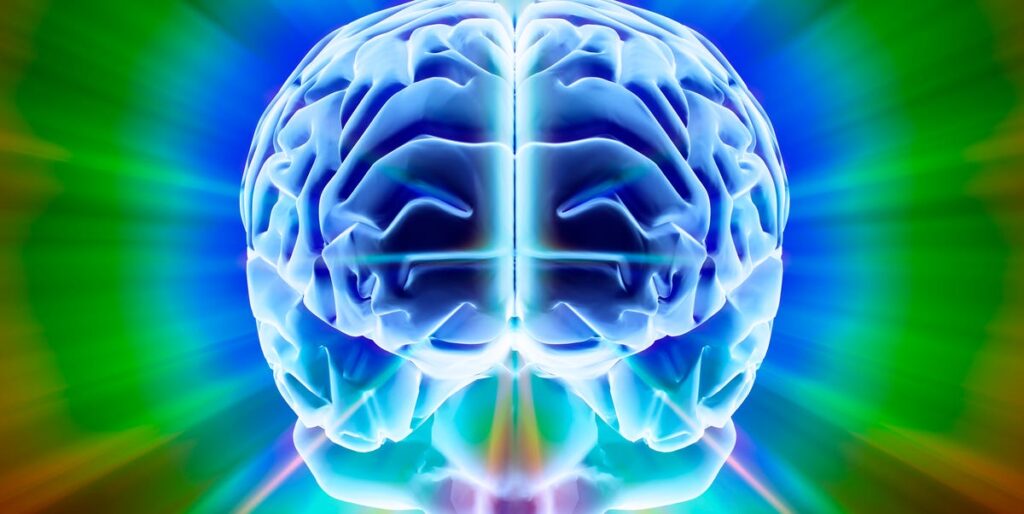 Does Human Consciousness Really Exist? Here’s What Scientists Think Does Human Consciousness Really Exist? Here’s What Scientists Think