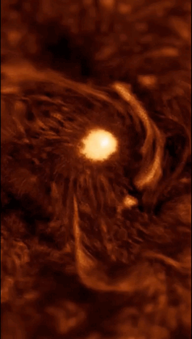 AR14392 was pointed directly at Earth & let off a CME (18.3.26) By simon2940