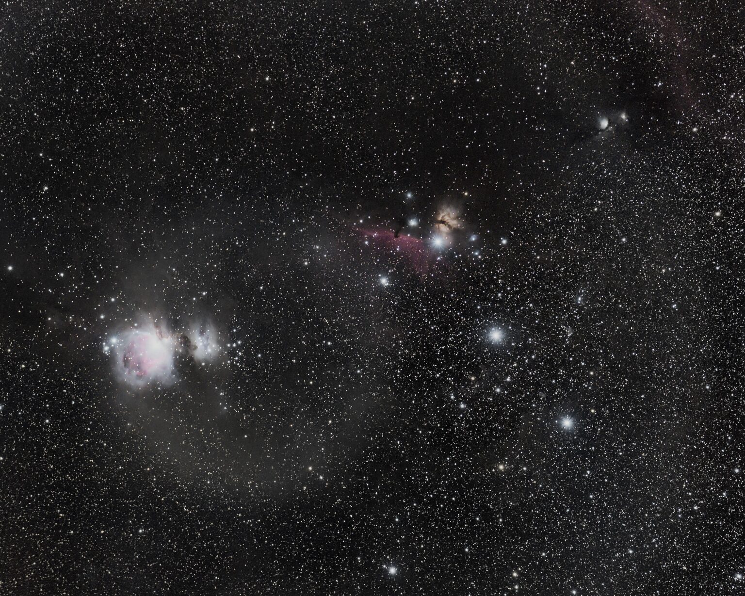 Orion Nebula and its many friends.