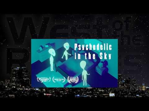 Revisiting the 1967 Brockport (NY) UFO