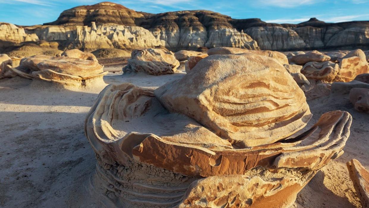 Unusual desert landscapes in Bisti badlands, De-na-zin wilderness area, New Mexico, USA