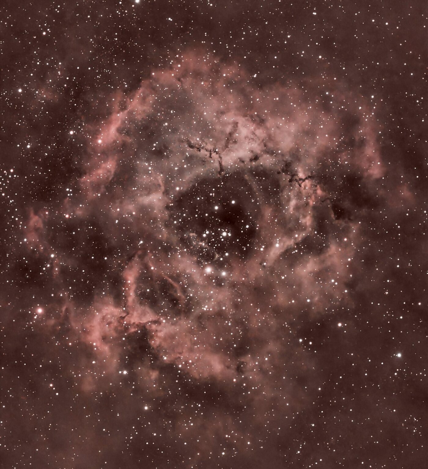Tonight's Image Of The Rosette Nebula, Super Proud Of This One