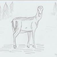 Area cryptid and UFO sightings flourished in 2025